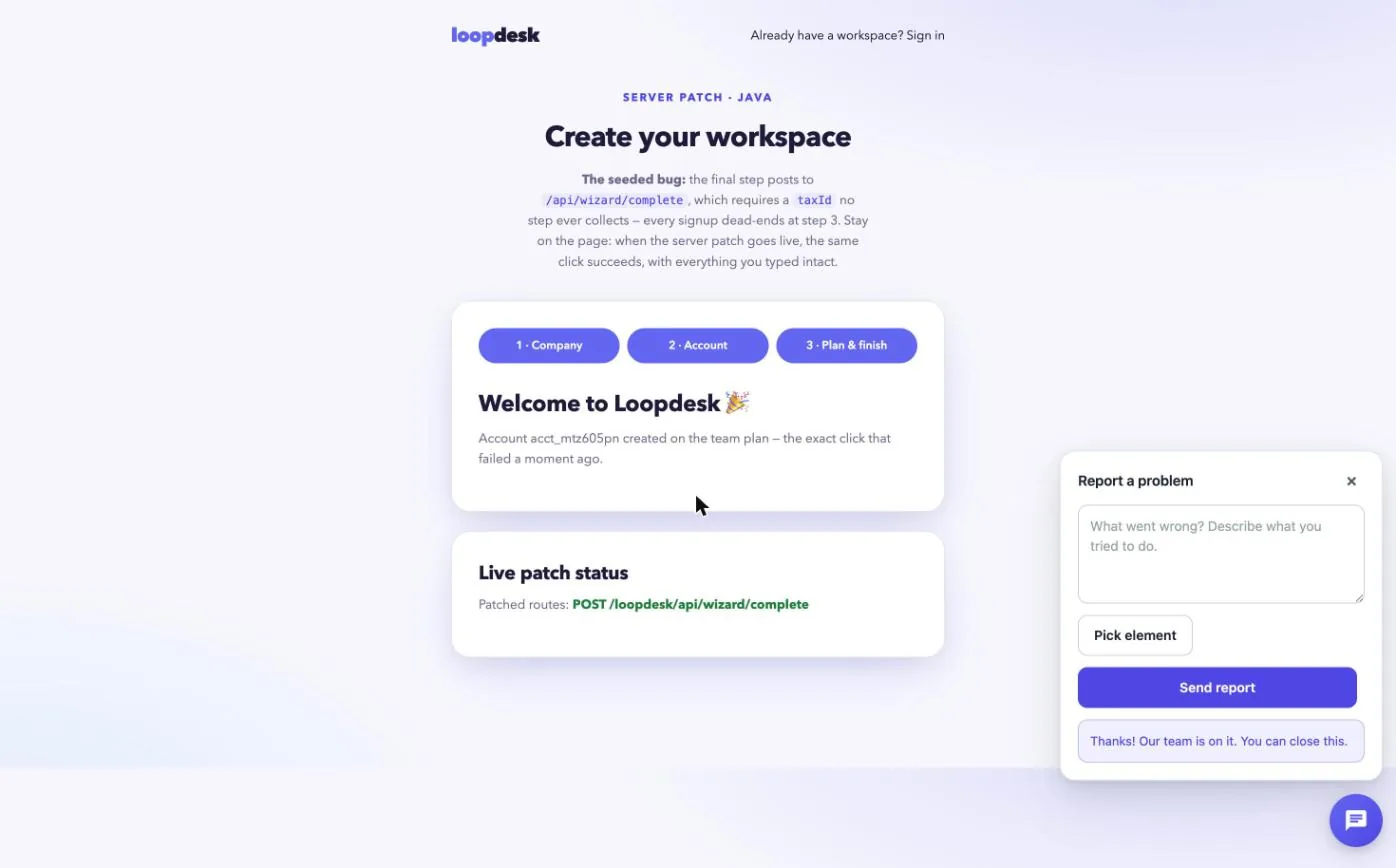 The Loopdesk sign-up wizard showing Welcome to Loopdesk, account created on the team plan, with the patched route listed below.